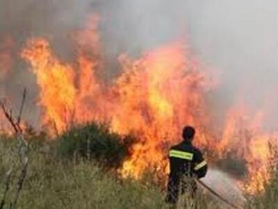 Αχαία: Και νέα πυρκαγιά στο Γιανισκάρι-Μ...