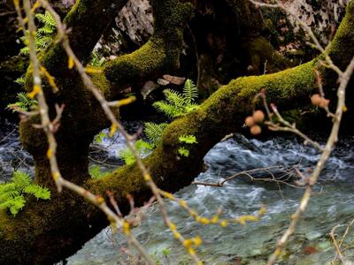 Τι "ζωγραφίζει" η φύση στα Τρι...