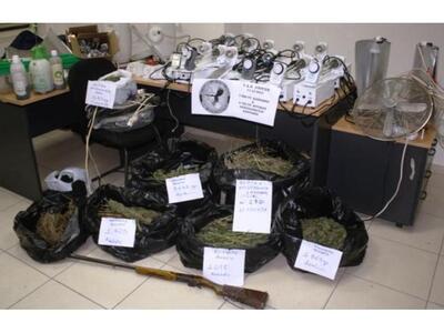 Ηλεία: 42χρονος καλλιεργούσε χασίς σε σπ...