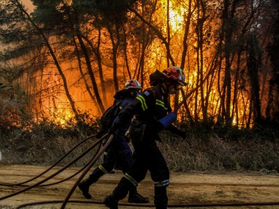 Σε ανθρώπινη αμέλεια η πλειονότητα των π...