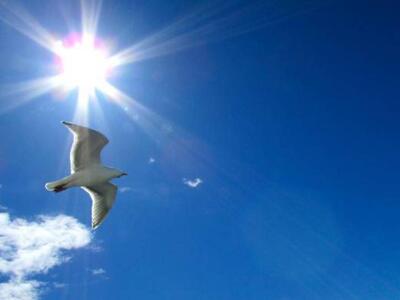 Καλοκαιρινός ο καιρός το Σαββατοκύριακο ...