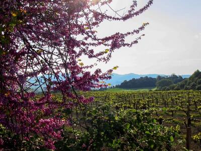 Κι από τα χιόνια στο... πρώιμο καλοκαίρι...
