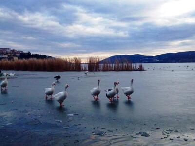 Πάγωσαν οι λίμνες Καστοριάς και Χειμαδίτ...