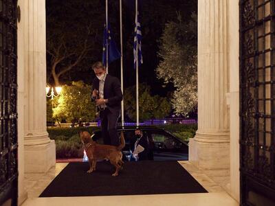 Ο Πίνατ, το χαριτωμένο σκυλάκι που υιοθέτησε ο K. Μητσοτάκης από καταφύγιο, βολτάρει στο Μαξίμου (photos)
