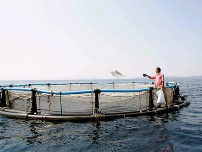 Εργατικό δυστύχημα με θύμα 24χρονο στην Κάλυμνο