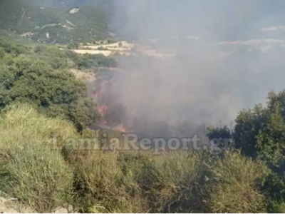 Φθιώτιδα: Πυρκαγιά κοντά στον οικισμό Λο...