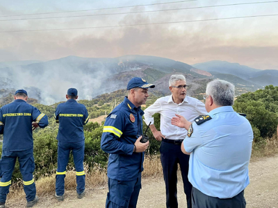 Ο Άγγελος Τσιγκρής ζητά αποζημίωση πυρόπ...