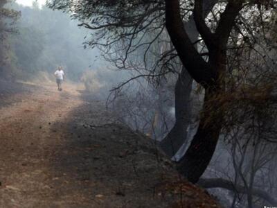 Από διαφορετικές εστίες ξεκίνησε η φωτιά...