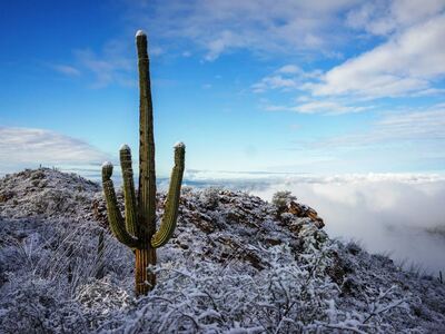 Χιόνισε στην έρημο της Αριζόνα – ΔΕΙΤΕ Μ...
