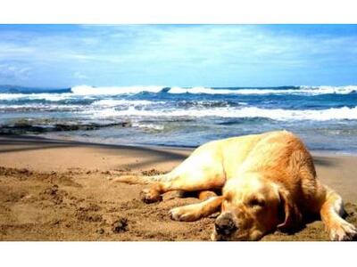 Ο Βαρβιτσιώτης ετοιμάζει Νόμο για την πρ...