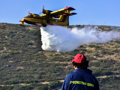 Οι ιπτάμενοι «φύλακες» των δασών