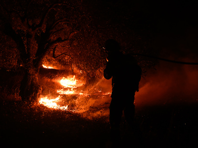 Φωτιές: Αναζωπυρώσεις σε Πάρνηθα, Έβρο, ...