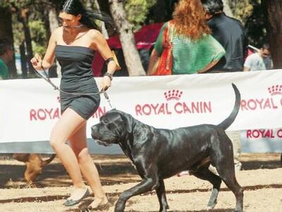 «Στο μνημόσυνο της Φαίης η αδελφή της έτ...