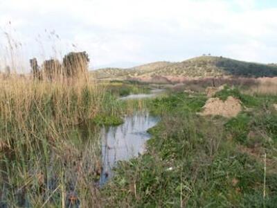 Hχοπερίπατος με αφορμή την αυριανή Παγκό...