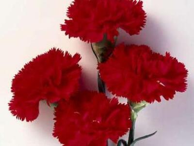 Πάτρα: Θλίψη στην πόλη για το χαμό του π...