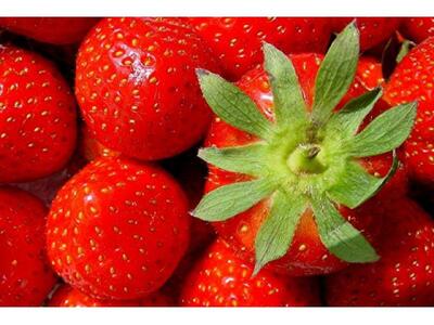 Αχαϊα: Στο Λάππα για ...φράουλες θα πάει...