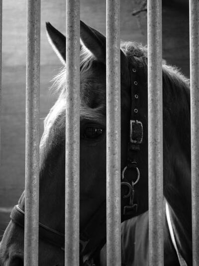 Η φωτ. είναι του Σπύρου Παπαθεοδώρου.