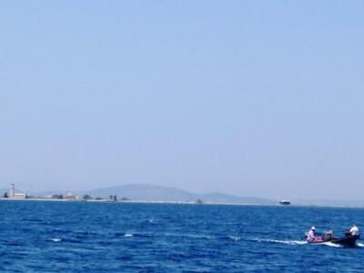 Περιήγηση στη λιμνοθάλασσα του Μεσολογγί...