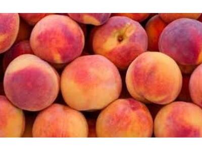 Πέλλα-Στους 22.000 τόνους οι αδιάθετες π...