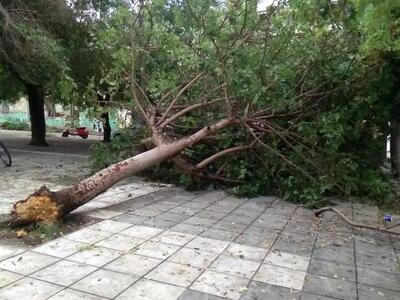 Συνεχίζεται η κακοκαιρία σε Πάτρα-Δυτική...