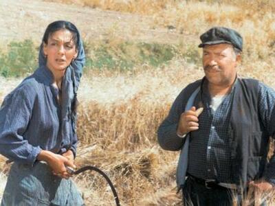 Πάτρα: Παμμικρασιατική Κινηματογραφική Λ...