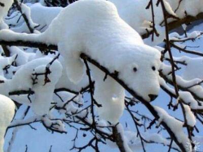 -13,4 βαθμούς κελσίου έγραψε το θερμόμετ...