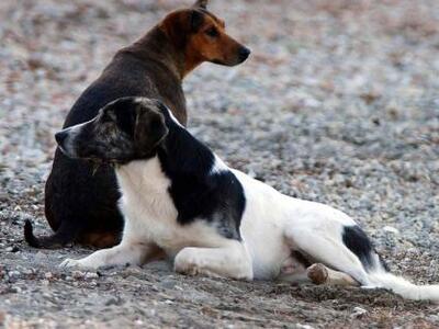 Πάτρα: Σάλος από την καταγγελία για φόλε...