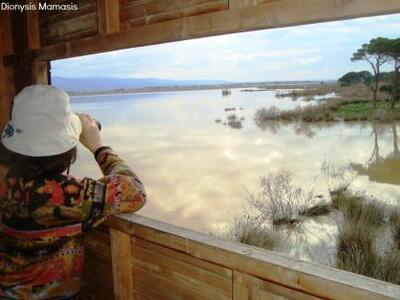 Παρατήρηση πουλιών στους υγροτόπους της Στροφυλιάς