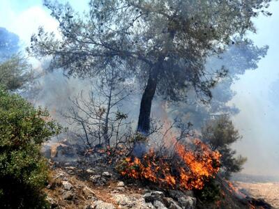 Φωτιά και στη Χαλκίδα