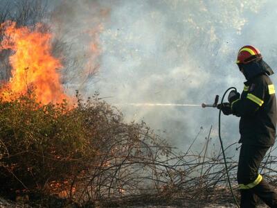 Πάτρα: Φωτιά σε χωράφι στα Συχαινά