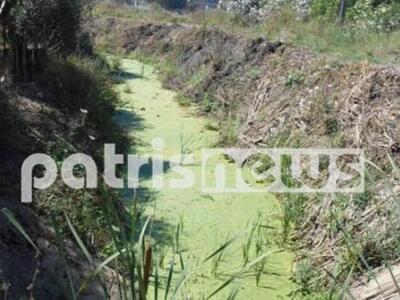 Ηλεία: Κινδυνεύει η δημόσια υγεία στην π...