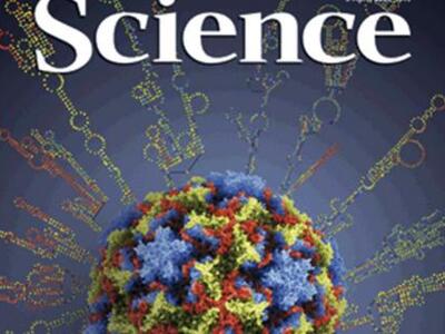 Ένας Ναυπακτιώτης στο επιστημονικό περιο...