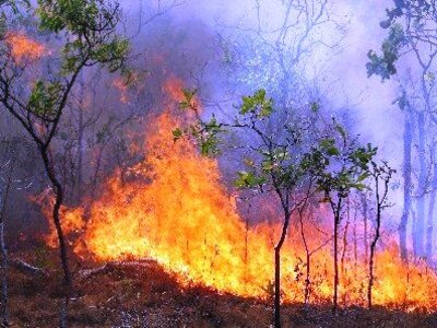 Υπό έλεγχο η φωτιά στο Πουρναρόκαστρο
