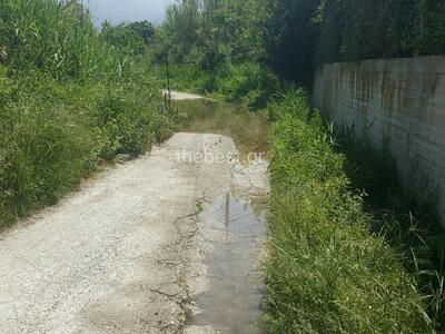 Πάτρα: Λίμνη με θαλασσινό νερό ξεφυτρώνε...