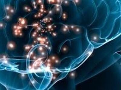 Ανακαλύφθηκαν δύο γονιδιακά δίκτυα νοημο...