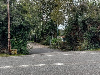 Μεσσηνία: Η οικονομική επιφάνεια και η δ...