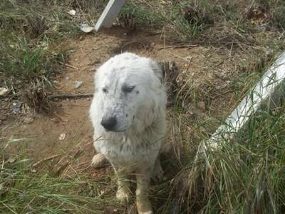 Τα παρατούν και στο νοσοκομείο του Πύργου!