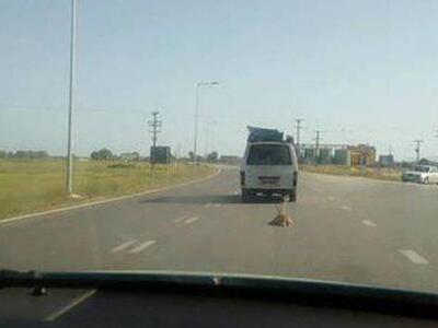 Έδεσε τον σκύλο στο αυτοκίνητο και τον έ...