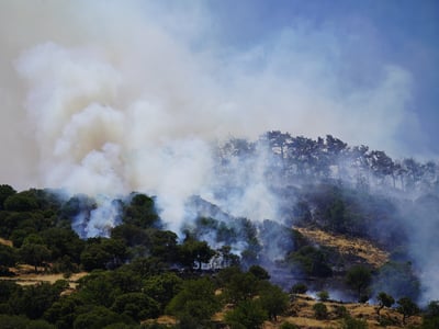 Πυροσβεστική: 50 αγροτοδασικές πυρκαγιές...