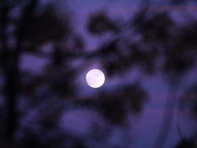 Χριστούγεννα με πανσέληνο! ΔΕΙΤΕ εντυπωσ...