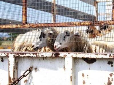 Αιτωλοακαρνανία: Βρήκαν τρεις ...ψάχνουν...