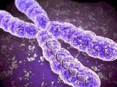 Εντόπισαν το γονίδιο που μπορεί να &quot...