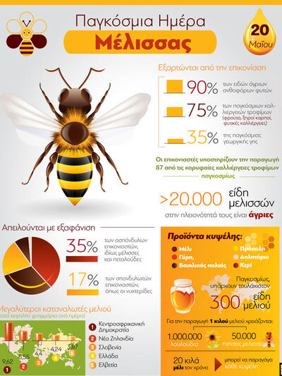 Παγκόσμια Ημέρα Μέλισσας 