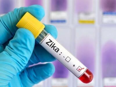 Συναγερμός από τον ΠΟΥ: Ο ιός Ζίκα έρχετ...