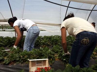 ΚΚΕ: Καταδικάζει την επίθεση κατά των με...
