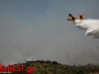 Πάτρα: «Δυστυχώς φέτος είμαστε χειρότερα...