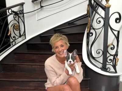 Σάρον Στόουν: Η πρώην έπαυλη της ηθοποιο...