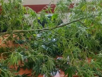 Δυτική Ελλάδα: Xειροπέδες για ναρκωτικά - ΦΩΤΟ