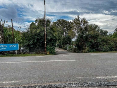 Μεσσηνία: Στα ίχνη του δράστη- Δεν αποκλ...