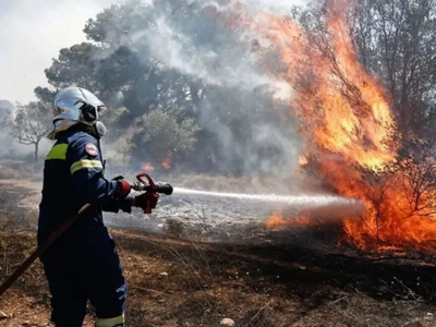 Χανιά: Παιδιά πέταξαν δυναμιτάκια σε χωρ...